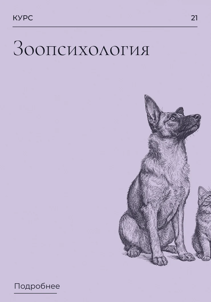 Зоопсихология