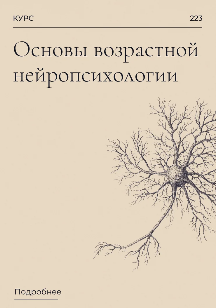 Основы возрастной нейропсихологии
