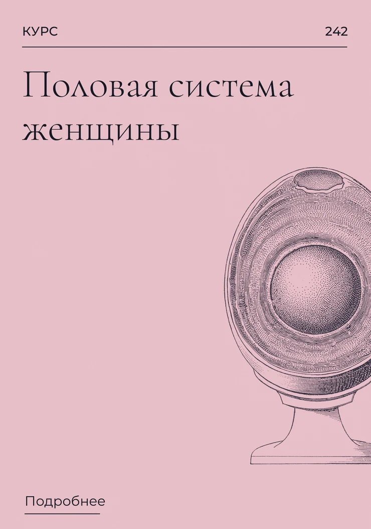 Половая система женщины