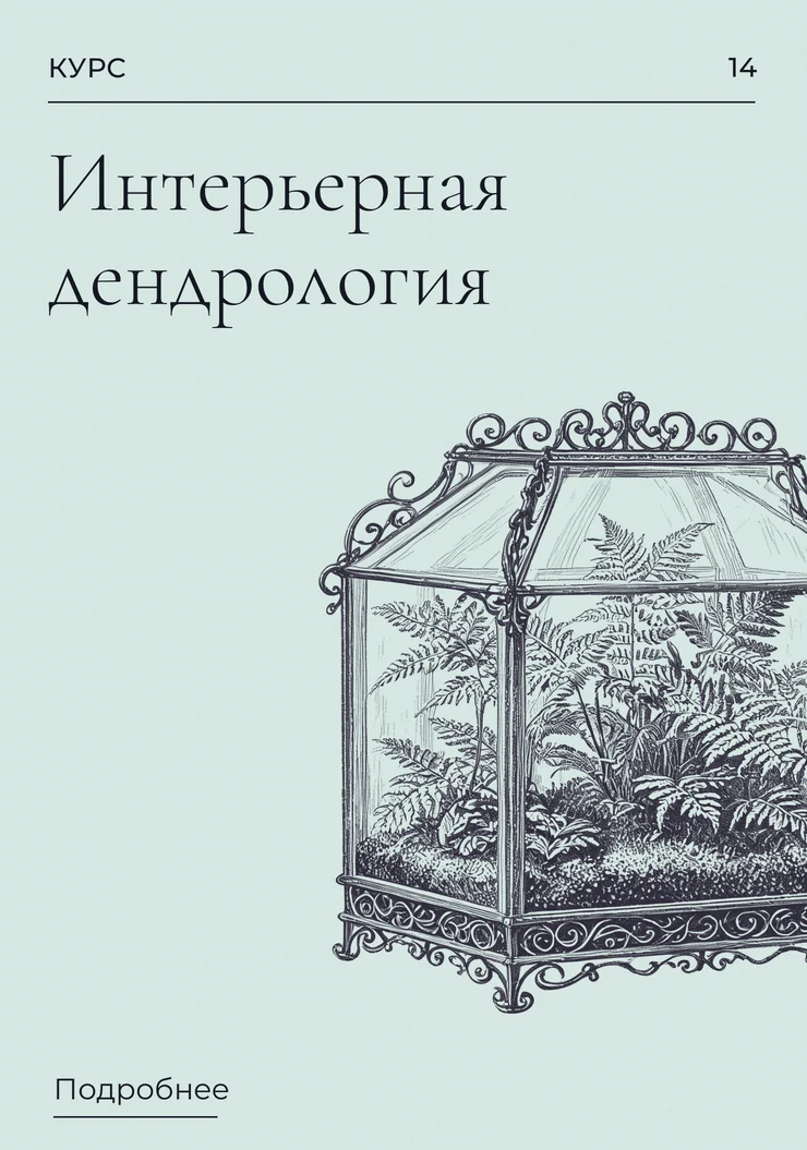 Интерьерная дендрология